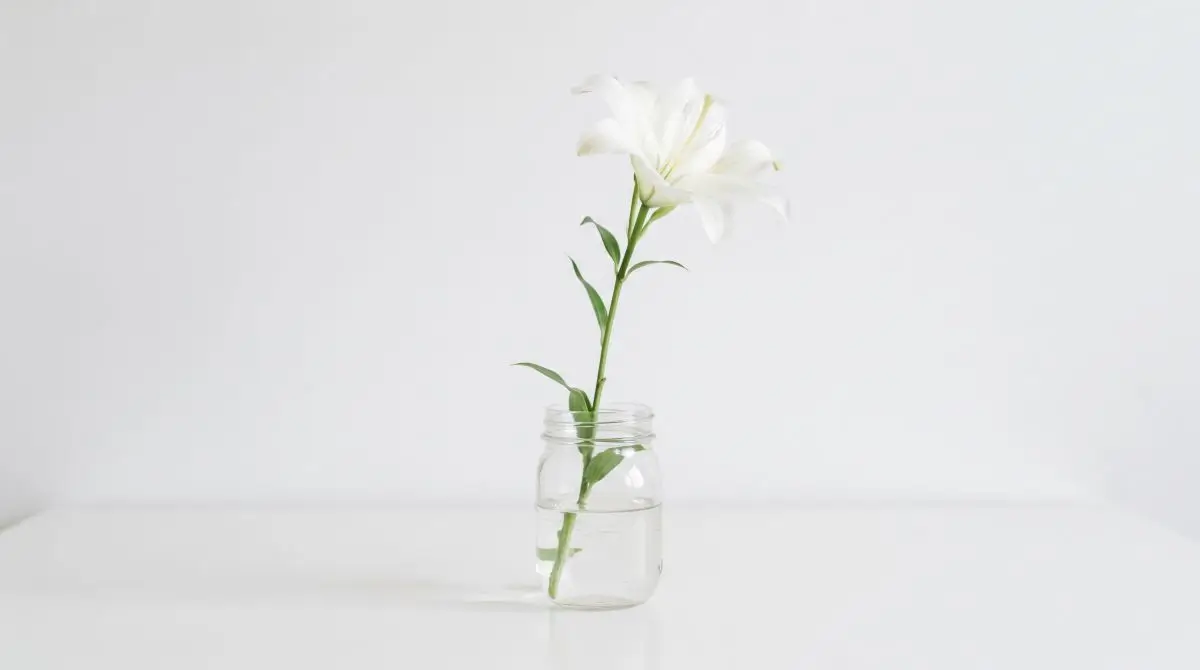 Single-Stem Minimalist Jar Arrangement
